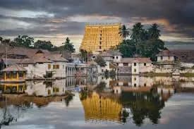 Pest control equipment Trivandrum